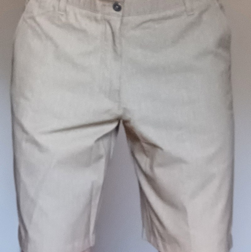 Swisstech Men's Shorts. 34 waist x 10in inseam.